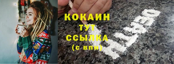 прущие грибы Медвежьегорск
