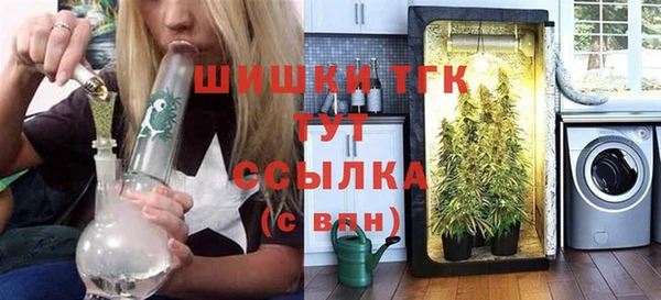 прущие грибы Медвежьегорск