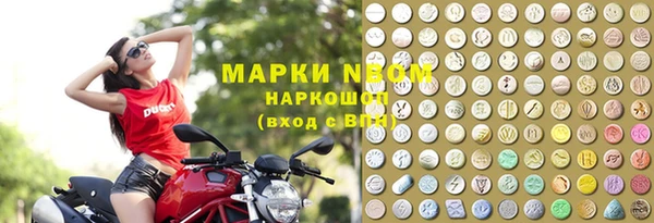 прущие грибы Медвежьегорск
