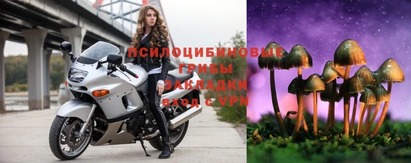 Альфа ПВП Михайловск