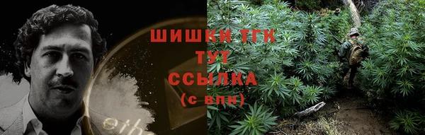 прущие грибы Медвежьегорск