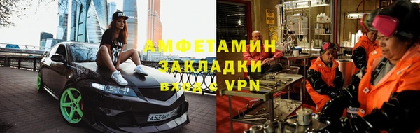 прущие грибы Медвежьегорск