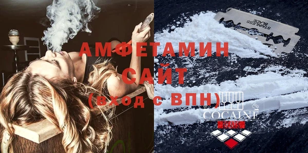индика Алагир