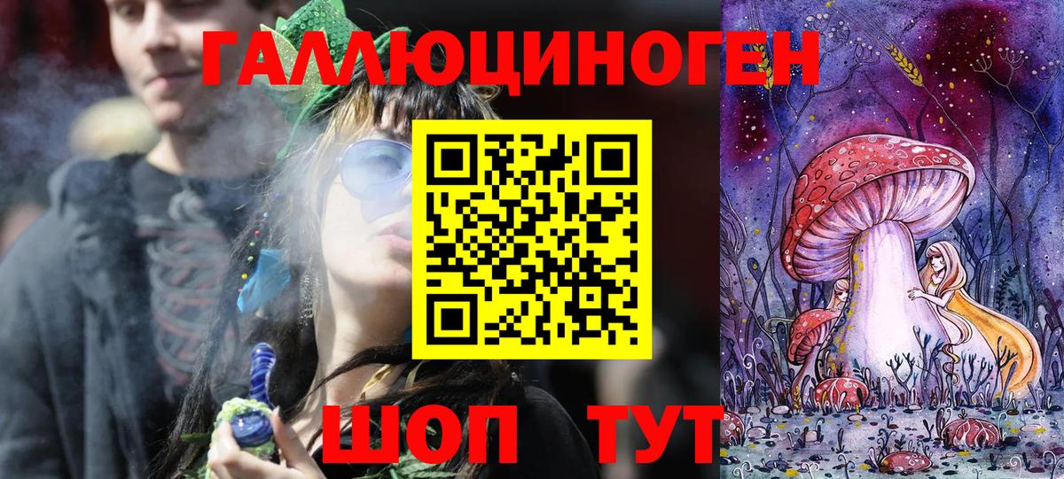 Псилоцибиновые грибы Psilocybe Белореченск