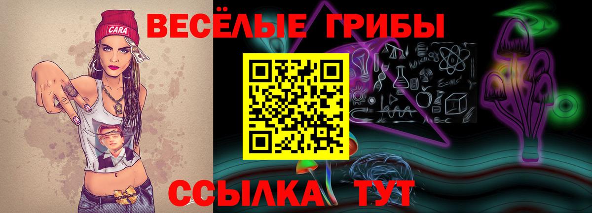 Белореченск  Псилоцибиновые грибы Psilocybe  Вход с VPN 