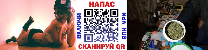 MEGA как зайти  цены наркотик  Белореченск  Бошки марихуана OG Kush 