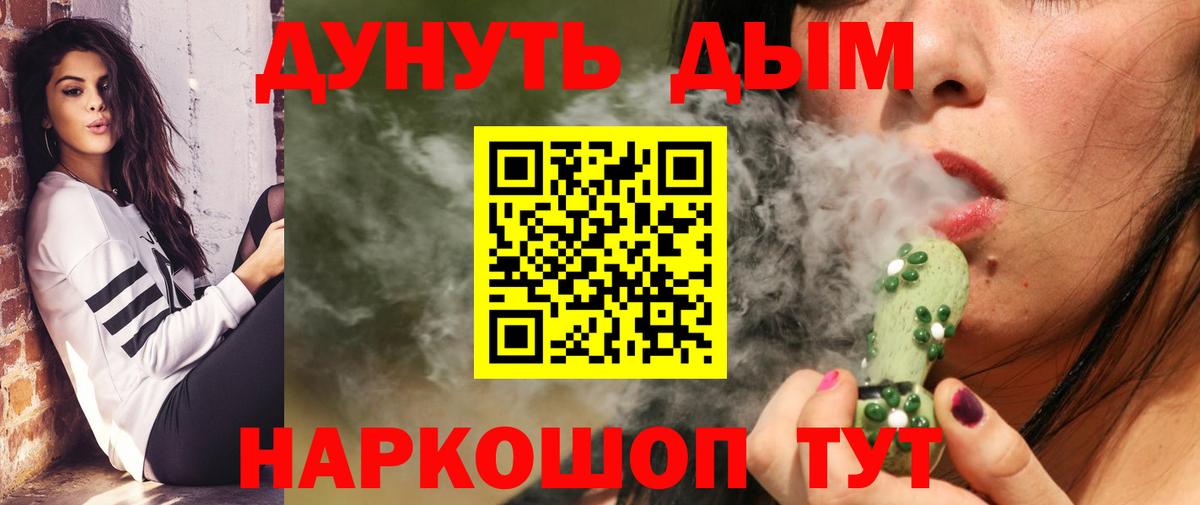 Канабис сатива Белореченск